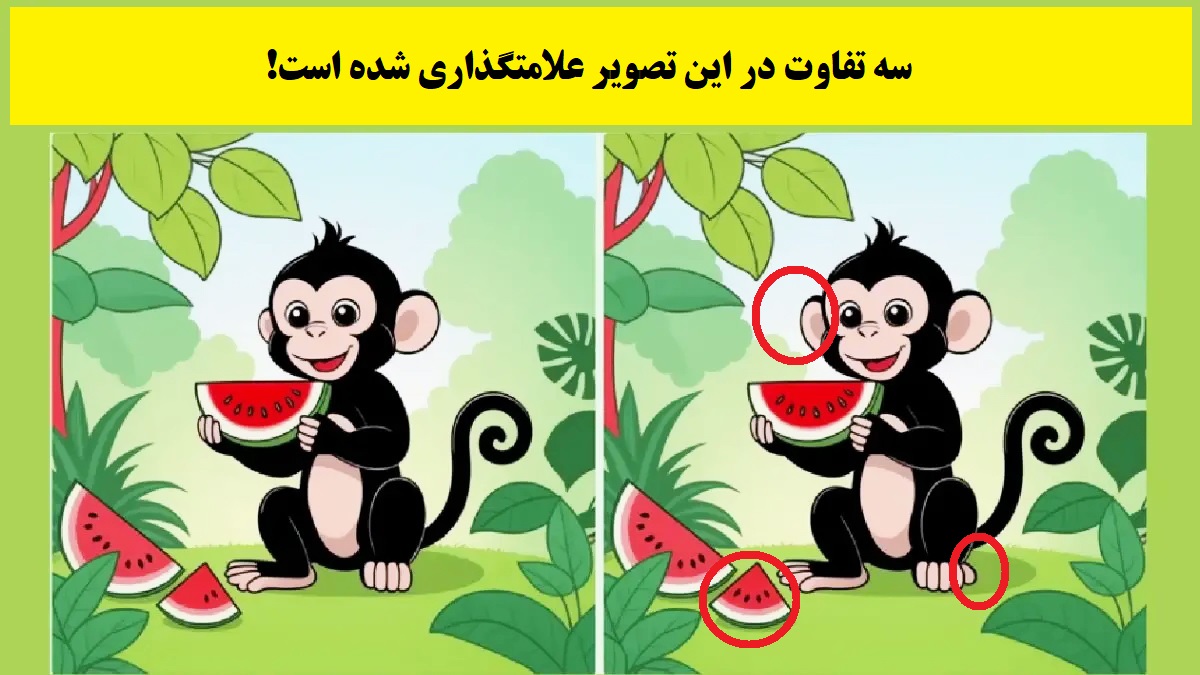 جواب آزمون شناسایی تفاوت های تصویر میمون