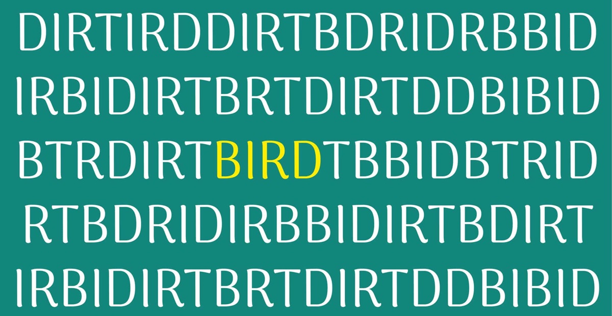 سوال شناسایی کلمه BIRD
