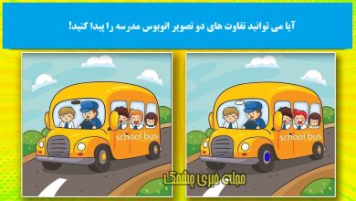 آزمون شناخت تفاوتهای اتوبوس مدرسه