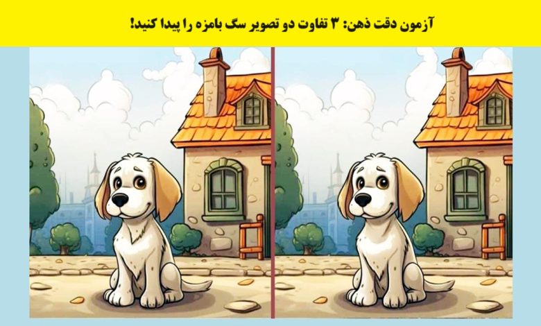 سوال شناخت تفاوت تصویر سگ بامزه