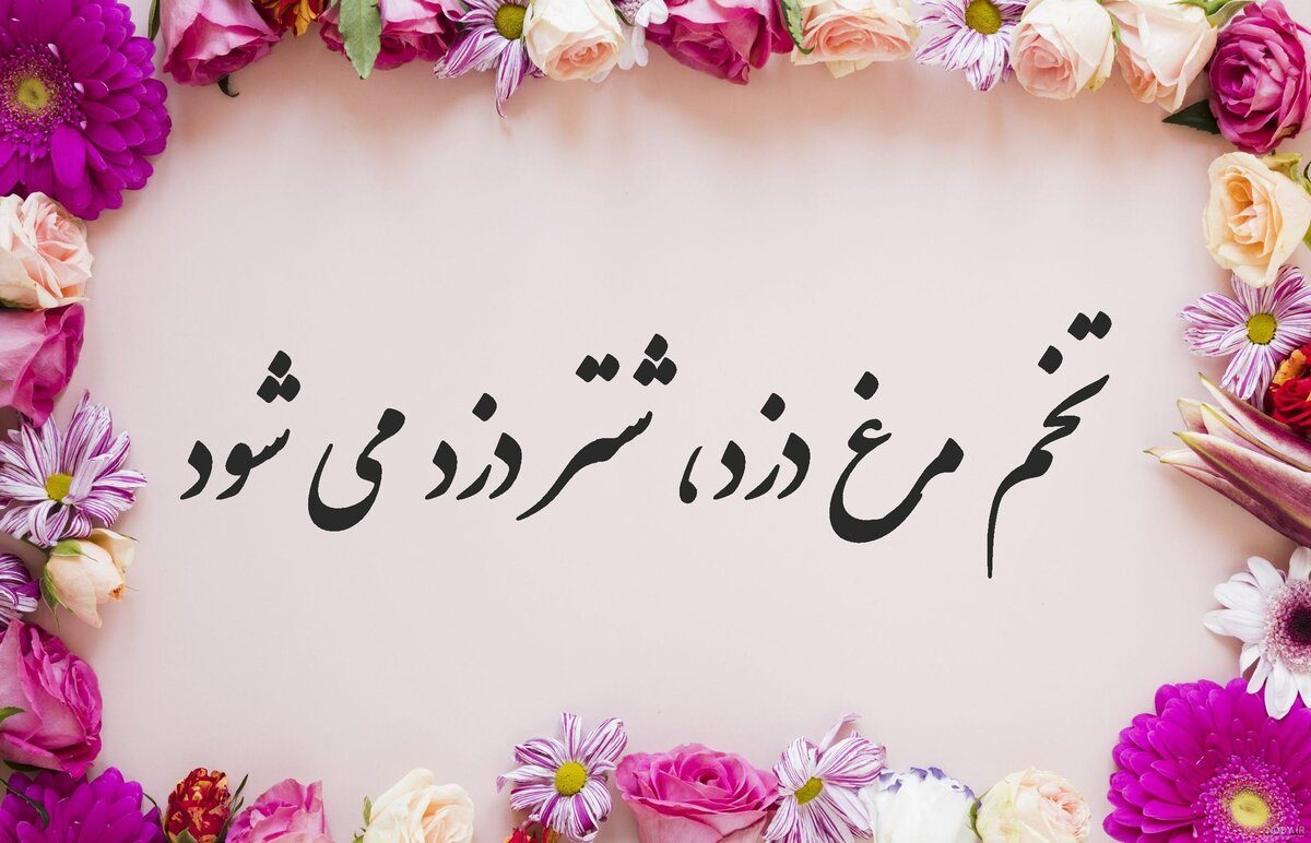 عاقبت تخم مرغ دزد شتر دزد می شود