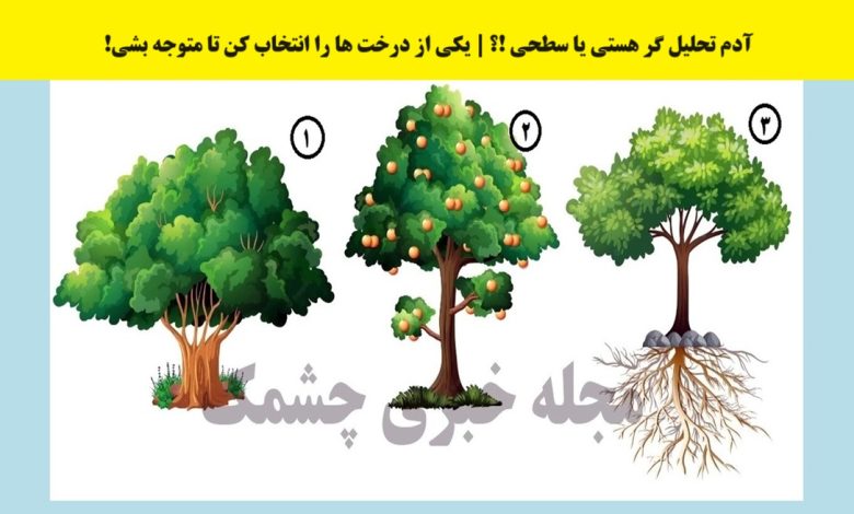 تست شخصیت با درخت انتخابی