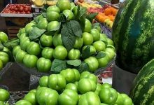 عوارض گوجه سبز