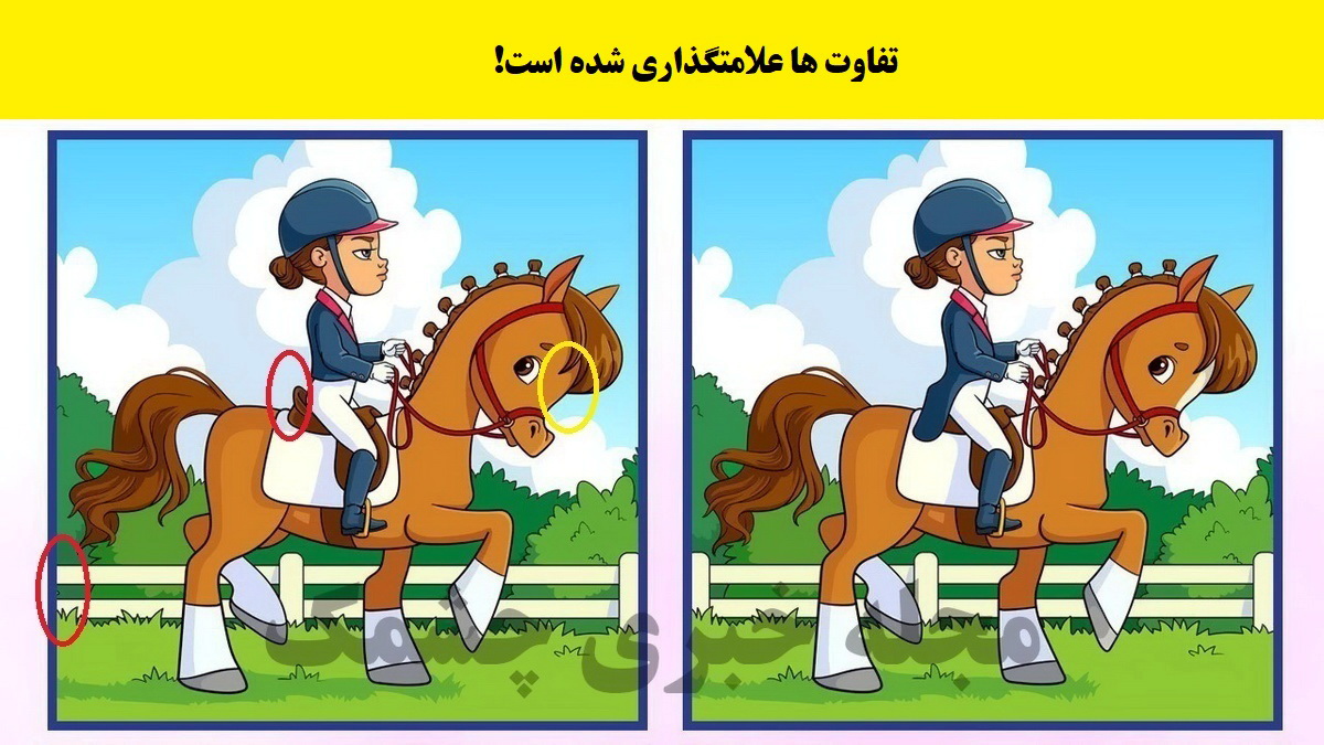آزمون شناخت تفاوتهای اسب سوار