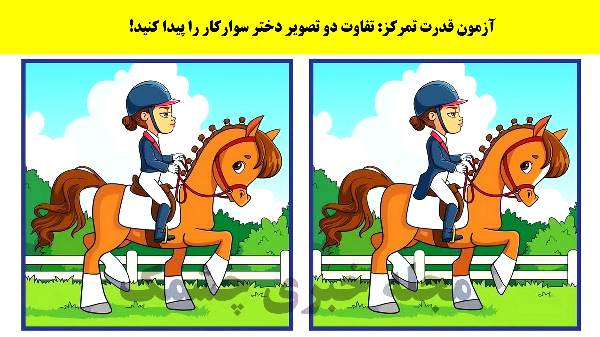 آزمون با شناخت تفاوتهای اسب سوار