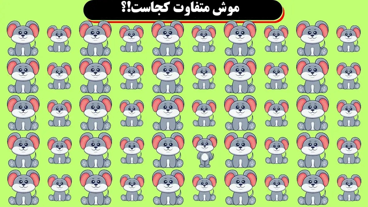 آزمون دید با موش متفاوت