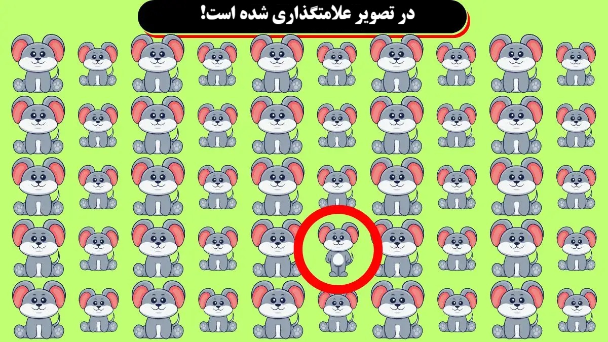 آزمون با موش متفاوت