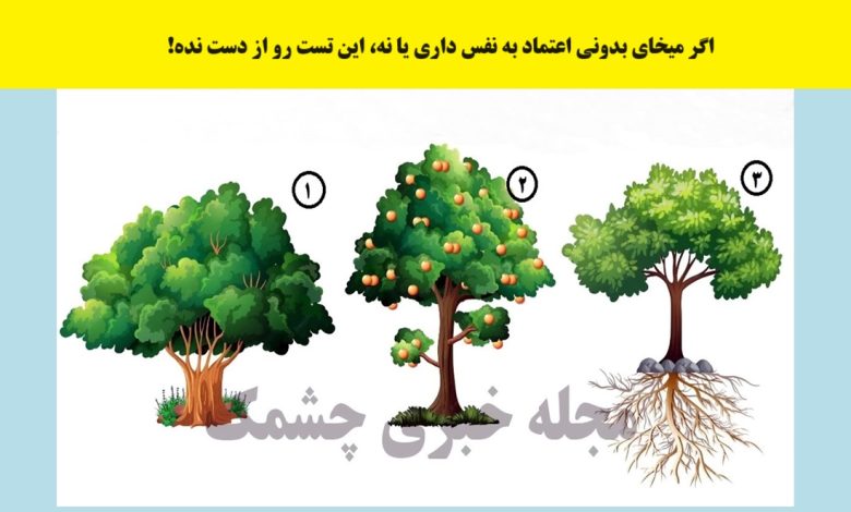 تست شخصیت با درخت مورد انتخابی