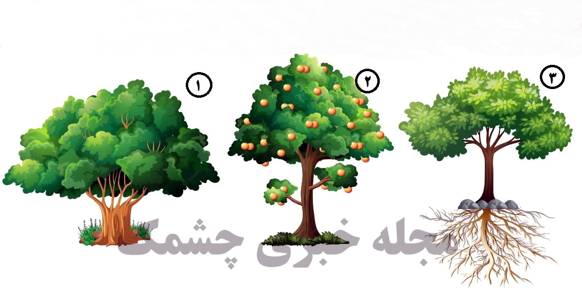 تست شخصیت با درخت مورد انتخابی