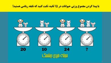 سوال ریاضی با مجموع وزن حیوانات