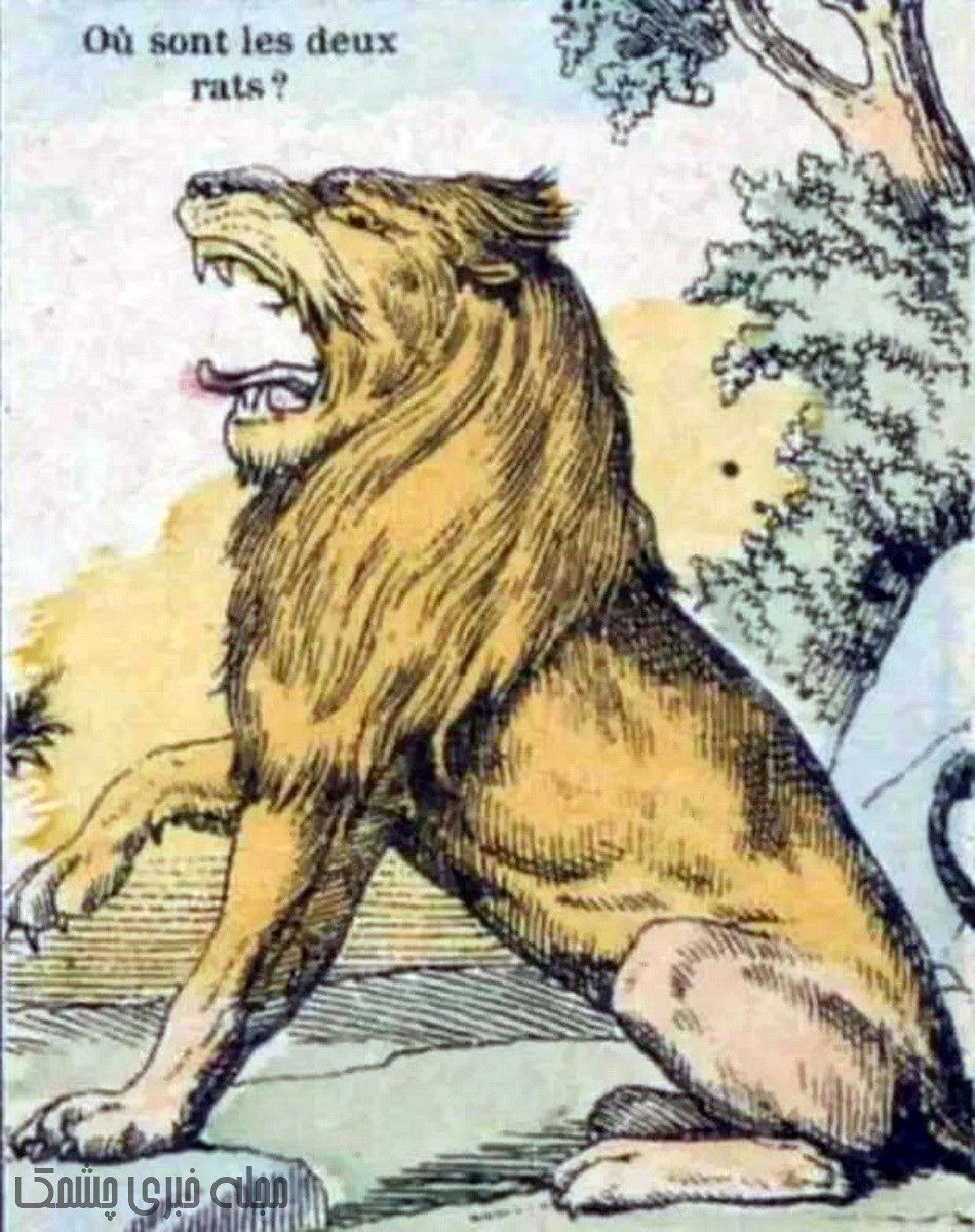 آزمون دید با شیر و موش