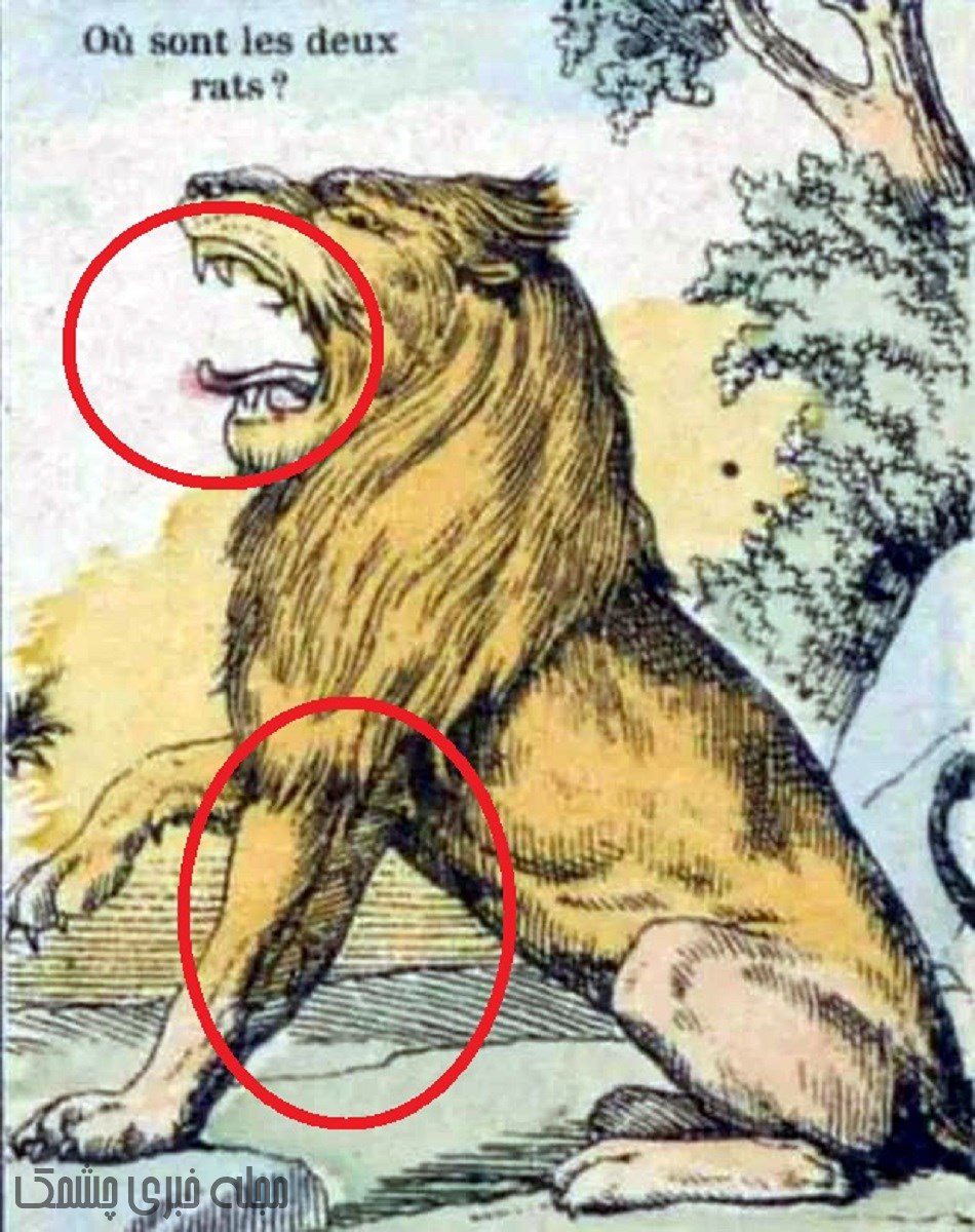 آزمون دید با شیر و موش