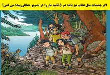 آزمون شناسایی مار در جنگل