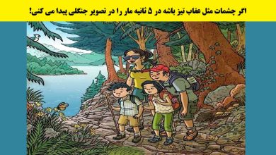 آزمون شناسایی مار در جنگل