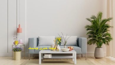 جای مناسب گیاهان در دکوراسیون خانه