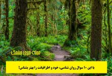 تست روان شناسی با لیست سوالات