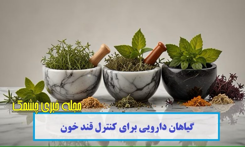 گیاهان دارویی برای کنترل قند خون