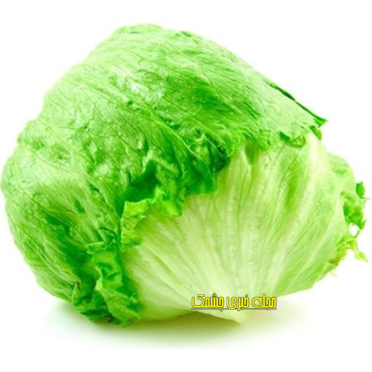 کاهو آیسبرگ