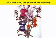 آزمون قدرت دید با چهره های پنهان