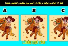 تست تمرکز با تصویر اسب سوار متفاوت