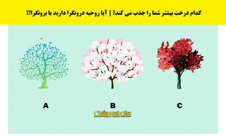 تست شخصیت درونگرایی با درخت