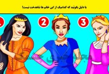 تست هوش با تشخیص شاهدخت تقلبی