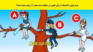 تست هوش با شناسایی فرد احمق