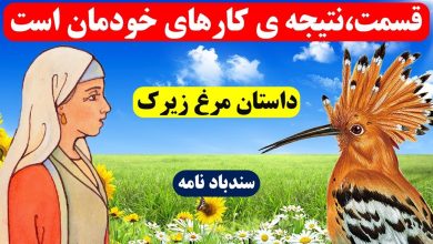 حکایت مرغ زیرک