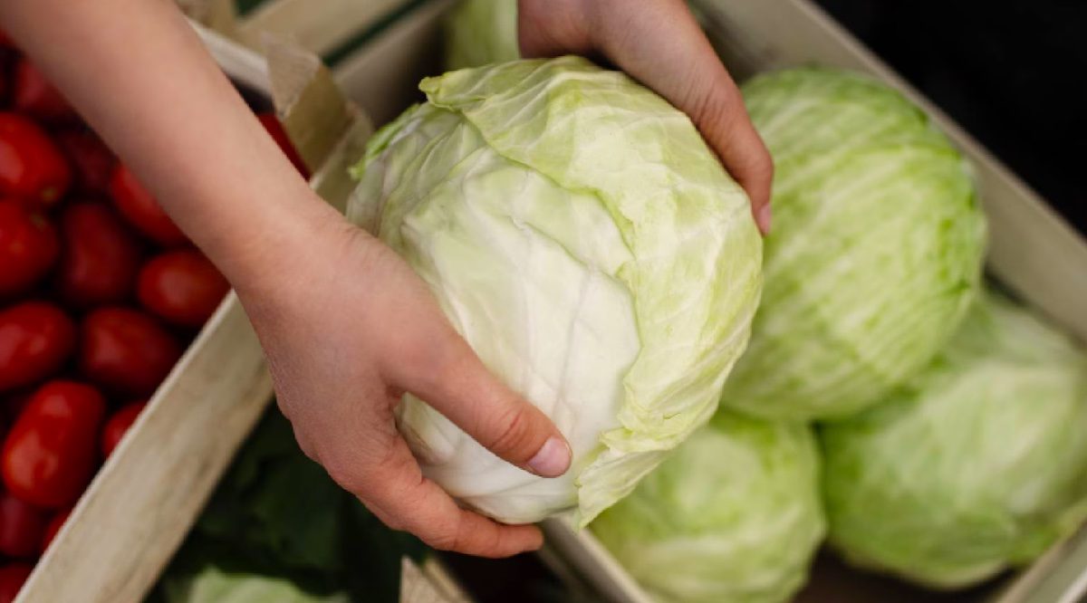 ۷ نوشیدنی آب سبزیجات برای کاهش وزن + طرز تهیه آب سبزیجات برای کاهش وزن