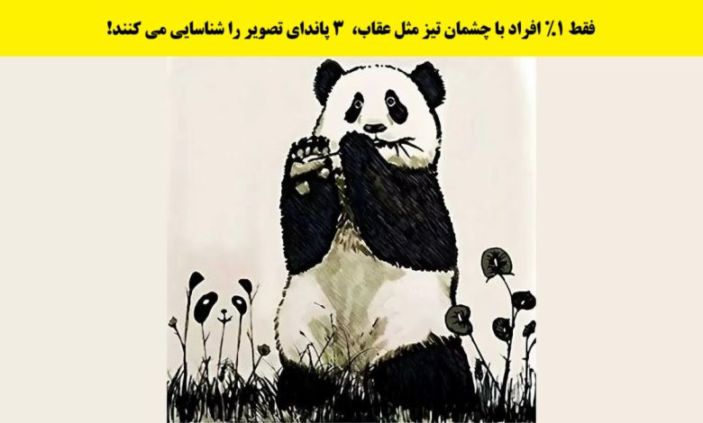 آزمون شناسایی با پانداهای مخفی