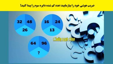 تست ضریب هوشی با عدد دایره