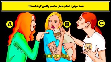 تست هوش با شناسایی صاحب گربه