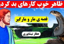 حکایت مارگیر و مار