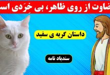 حکایت گربه سفید و میرغضب دربار