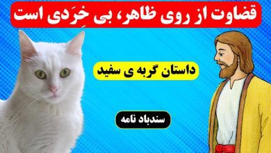 حکایت گربه سفید و میرغضب دربار