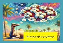 ضرب المثل شتر در خواب بیند پنبه دانه