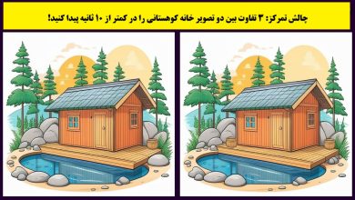 آزمون ارزیابی تمرکز با خانه کوهستانی