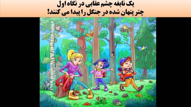 آزمون شناسایی چتر گمشده در جنگل