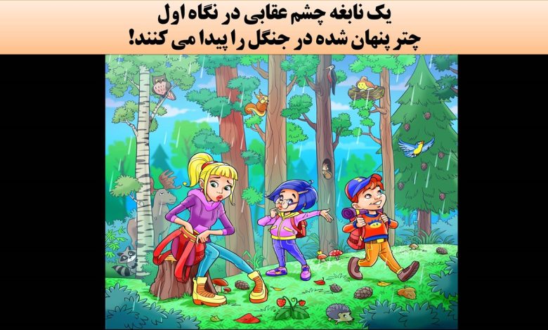 آزمون شناسایی چتر گمشده در جنگل