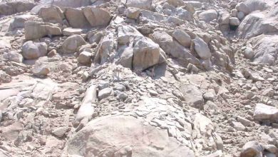 تست قدرت بینایی با آهوهای کوهی