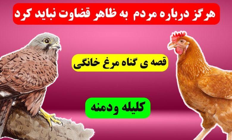 حکایت گناه مرغ خانگی