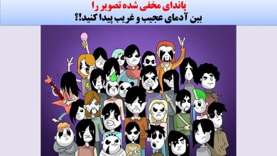 سوال تصویری با شناسایی پاندای مخفی