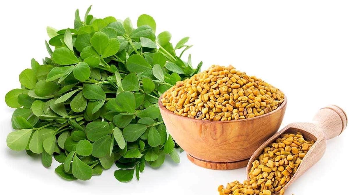 گیاهان مفید برای کنترل دیابت