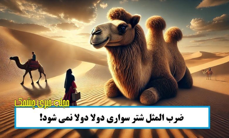 ضرب المثل شتر سواری دولا دولا نمی شود