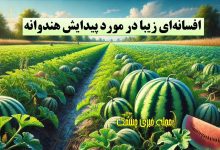 پیدایش هندوانه و خربزه