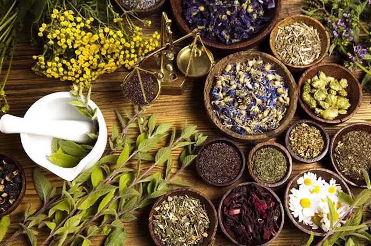 گیاهان مفید برای کنترل دیابت