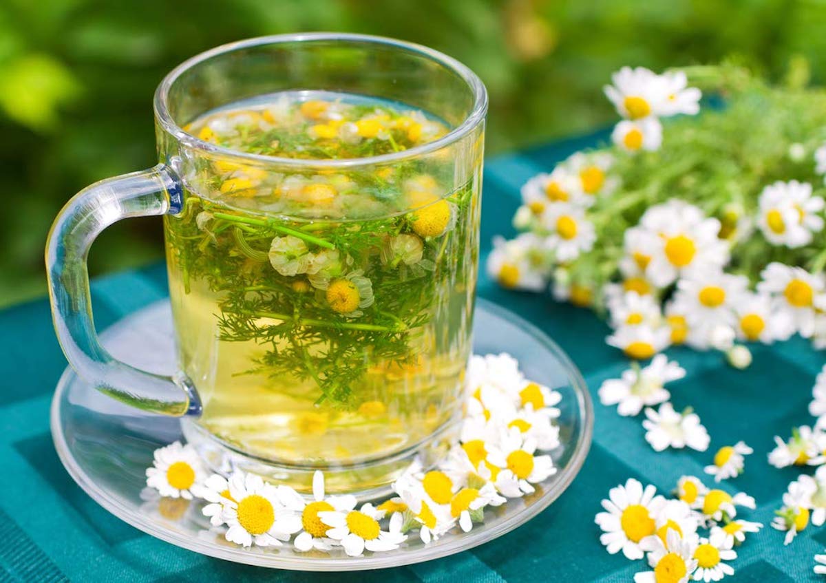 گیاهان مفید برای کنترل دیابت