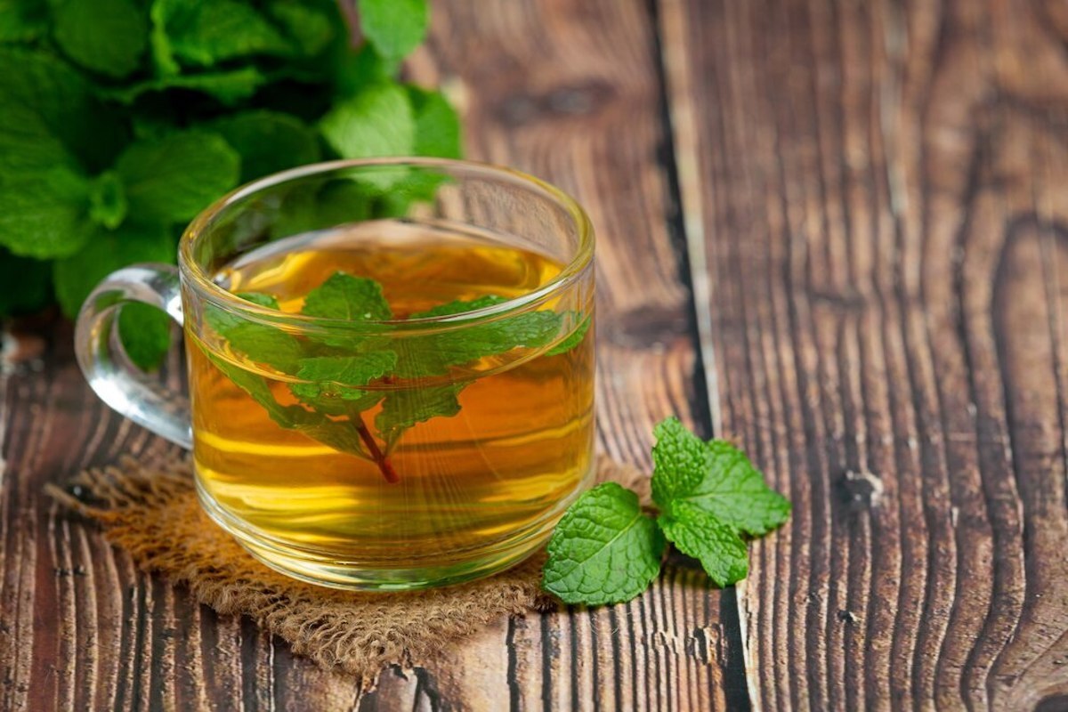 دمنوش های مناسب برای کبد چرب