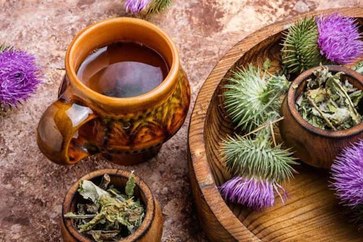 دمنوش های مناسب برای کبد چرب