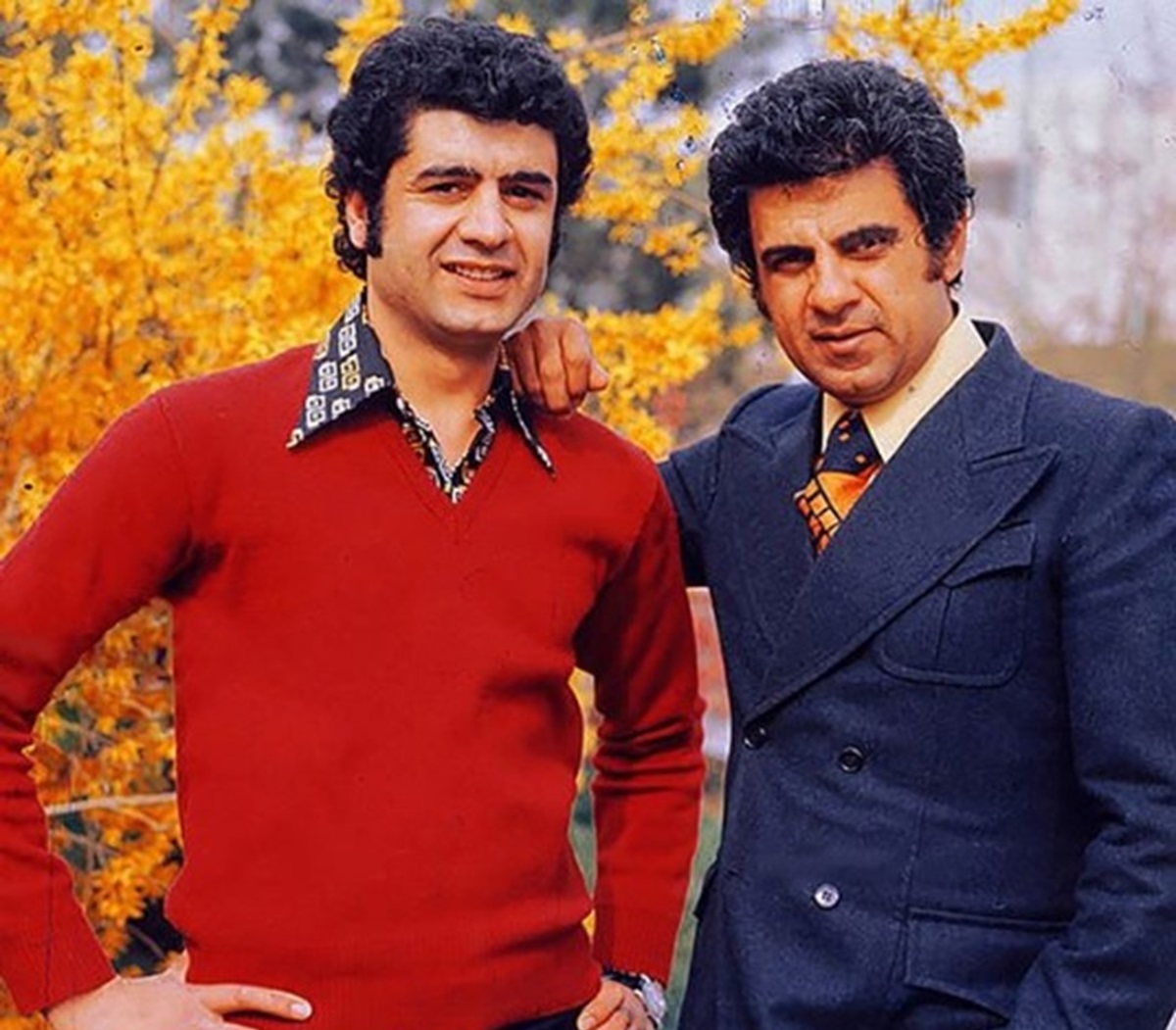 بیوگرافی منوچهر والی زاده
